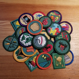 Girl Scout Badges - Juniors