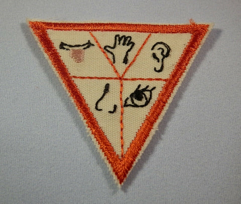 Senses, Retired Brownie Girl Scout Try-It Badge, Orange Border