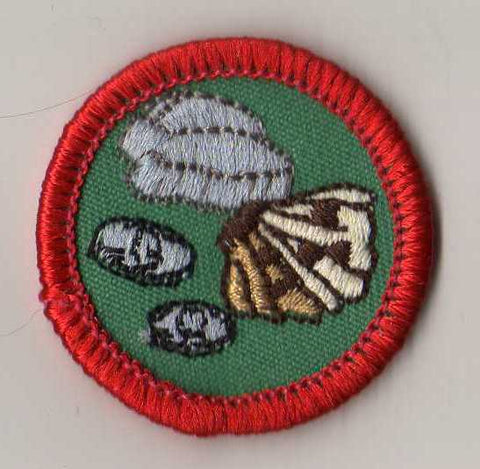Collecting Hobbies, Retired WTE Junior Girl Scout Badge