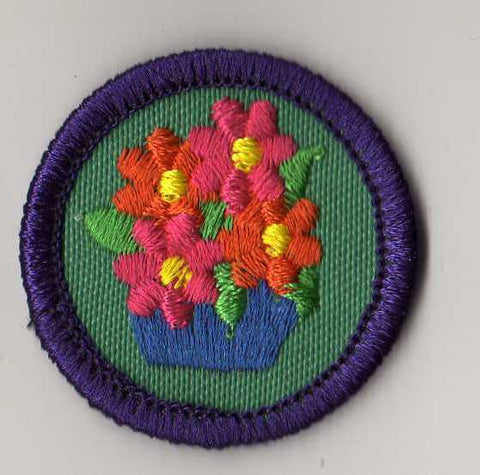 Art in the Home, Retired WTE Junior Girl Scout Badge