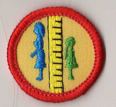 Becoming a Teen, Retired WTE Junior Girl Scout Badge