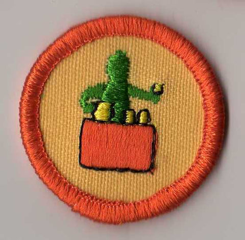 Business Wise, Retired WTE Junior Girl Scout Badge