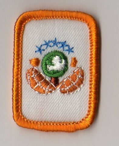 Dabbler, Outdoors, Retired WTE Cadette Girl Scout Interest Project Patch (IPP) Badge