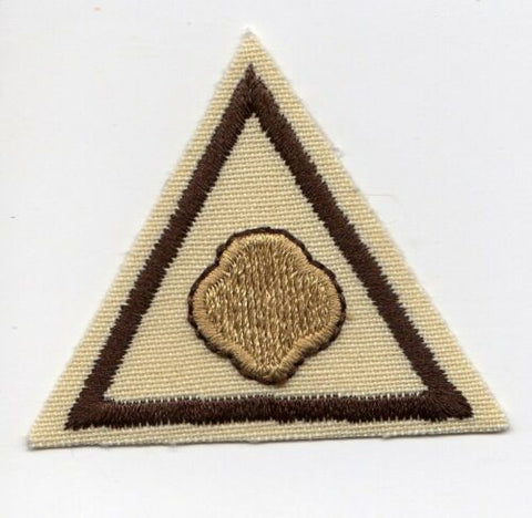 Cookies Count, Retired Brownie Girl Scout Try-It Badge, Brown Border