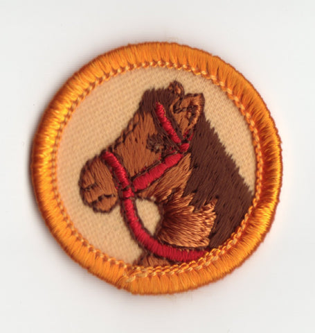 Horseback Rider, Retired WTE Junior Girl Scout Badge