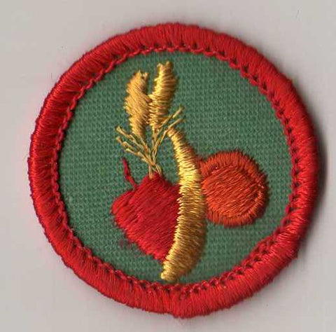 Healthy Eating, Retired WTE Junior Girl Scout Badge