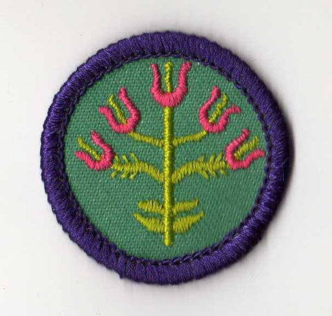 Folk Arts, Retired WTE Junior Girl Scout Badge