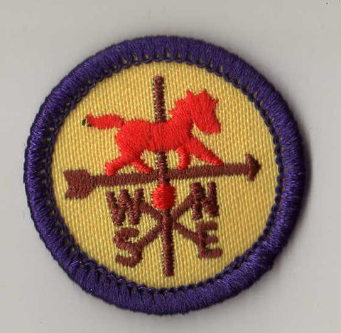 Popular Arts, Retired WTE Junior Girl Scout Badge