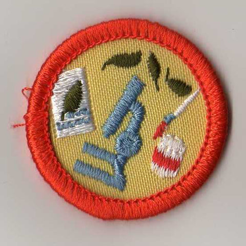 Science in the Worlds, Retired WTE Junior Girl Scout Badge