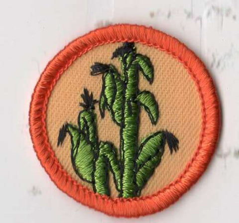 Food Raiser, Retired WTE Junior Girl Scout Badge